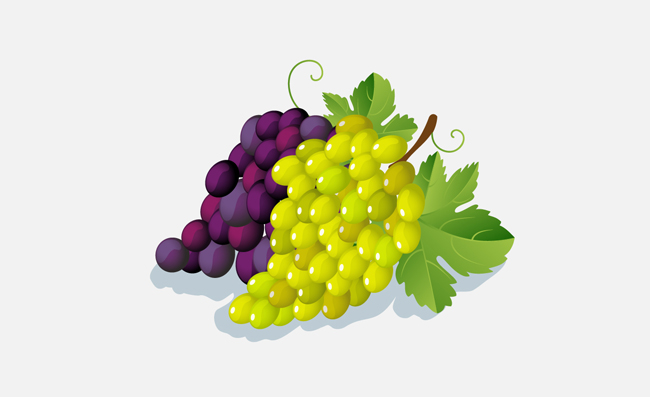 紫葡萄绿葡萄矢量水果素材
