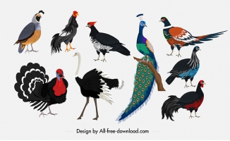 鸟类设计矢量素材