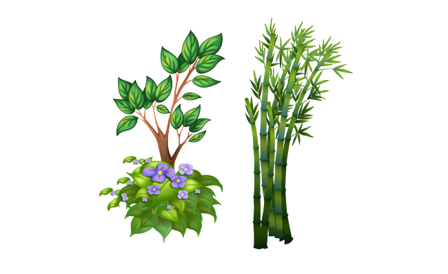 手绘花卉不同种类植物素材