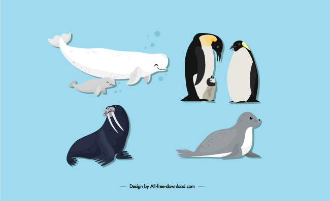 海豹企鹅海豚动物素材矢量元素