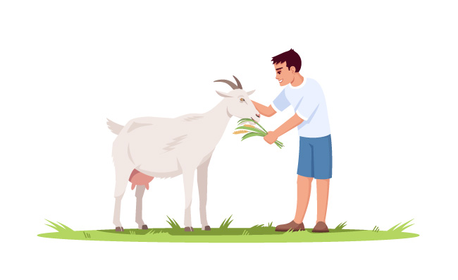 男孩饲料山羊矢量图家畜农场宠物野生动物卡通插图
