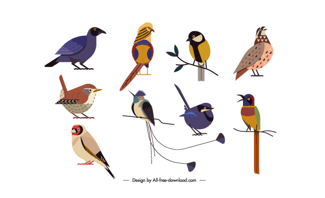鸟类动物扁平卡通素材矢量