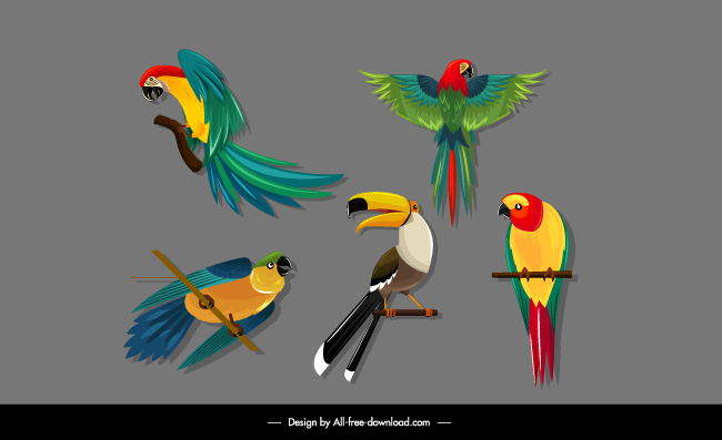 鸟类动物素材矢量插画