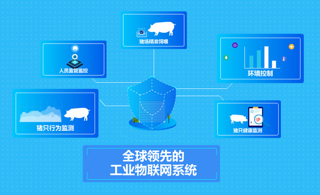 蓝色科技养猪养殖业管理系统MG动画宣传片素材