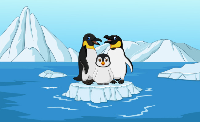 站在浮冰上的卡通企鹅矢量动物图片