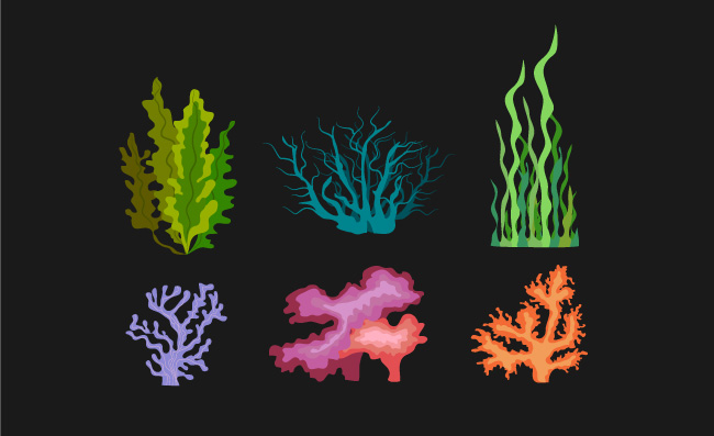 海底生物矢量卡通海草珊瑚