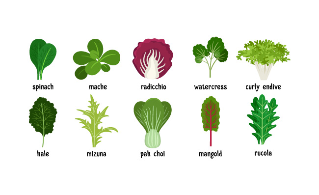植物卡通蔬菜素材图片