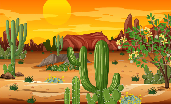 沙漠植物素材图片