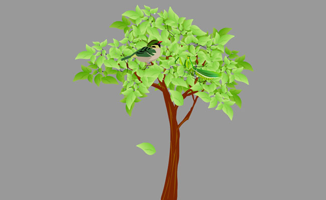 小鸟停息在树上的动作素材
