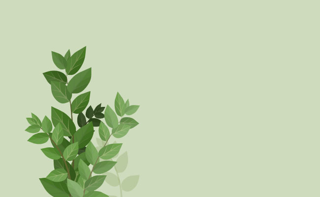 绿色叶子植物背景设计素材