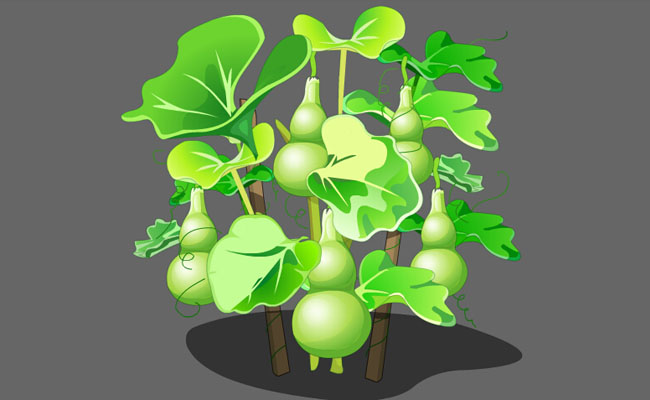 葫芦瓜植物手绘背景设计素材