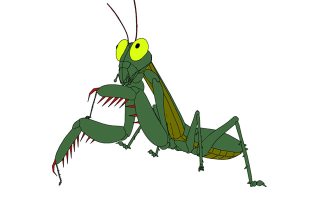 绿色螳螂动作an动画模板素材