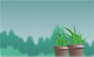 下雨天的植物花卉水珠流