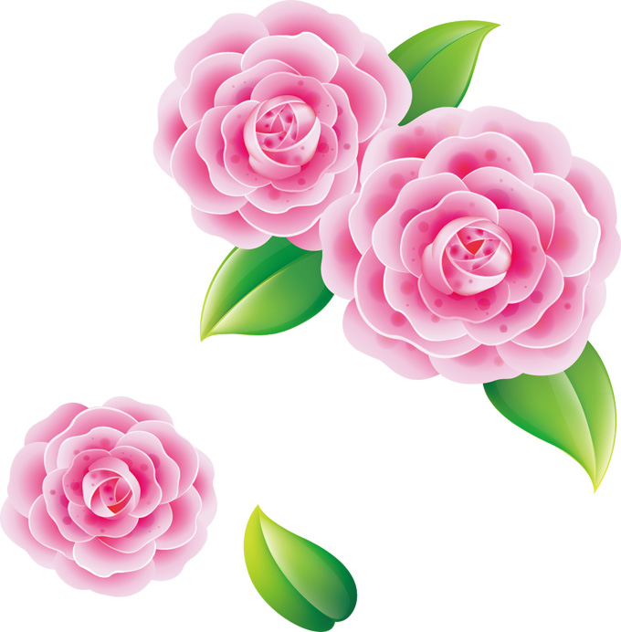 春天的花朵矢量图