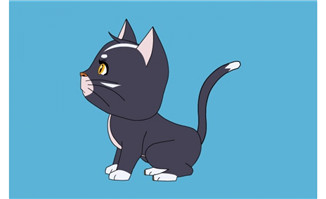 可爱的黑猫侧面叫摇尾巴