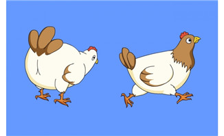 母鸡奔跑啄食flash动画