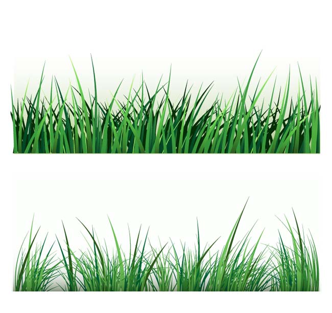 2款绿色草丛设计矢量图