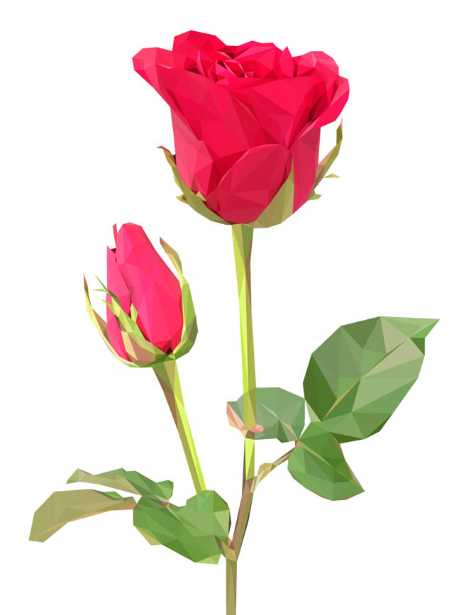 美丽红色玫瑰花矢量图
