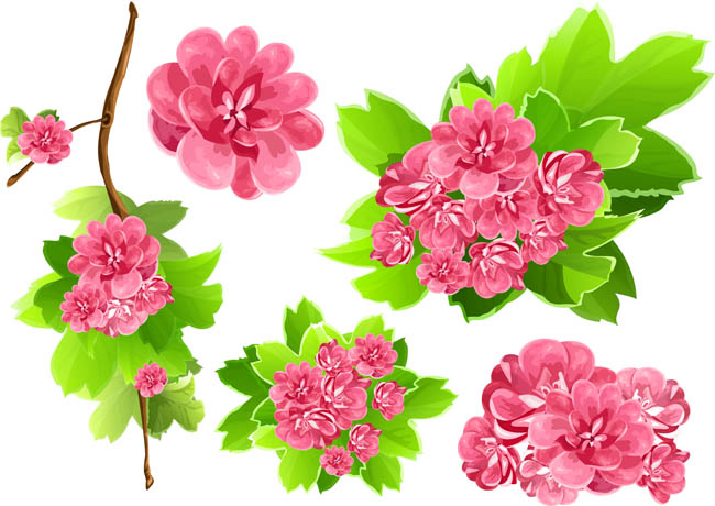 鲜花水绿叶彩画矢量素材3