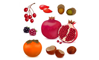 7款水果与坚果设计矢量素