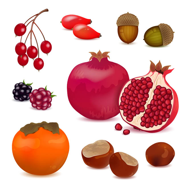 7款水果与坚果设计矢量素材