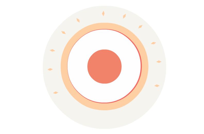 MG圆圈特效,MG动画短片,MG素材下载,flash素材