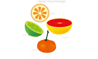 各种柠檬水果素材矢量图