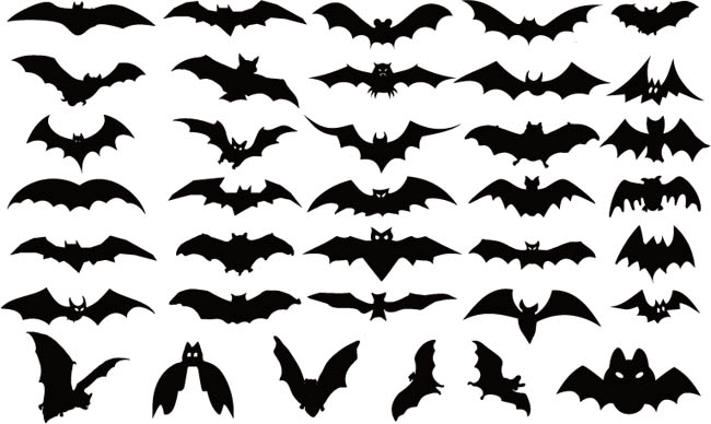 蝙蝠万圣节各种动作展示矢量图设计