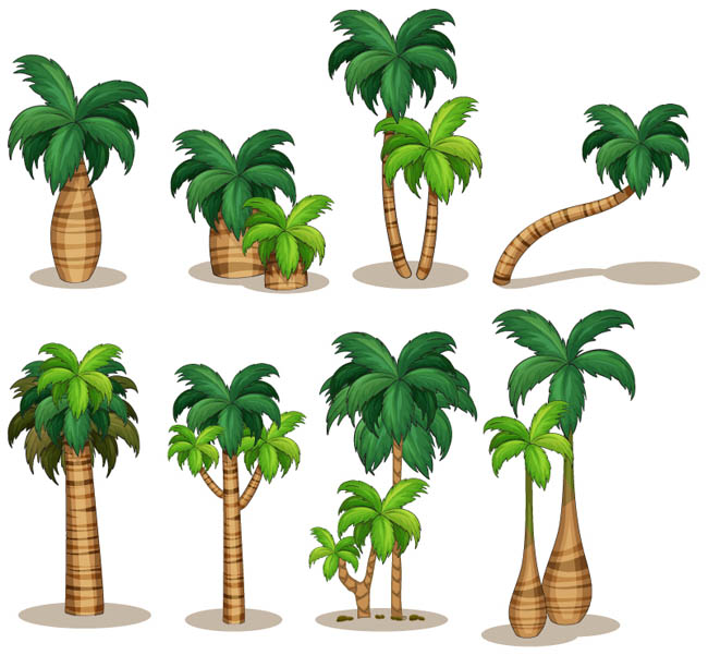 海边精美椰子树多款设计矢量素材