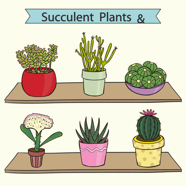 手绘可爱盆栽多肉植物素材下载