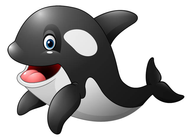 黑白海豚海洋生物动物卡通形象设计