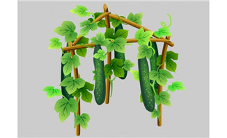 黄瓜植物架载flash动画场景