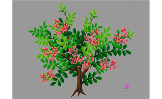 花椒树植物素材flash动画素