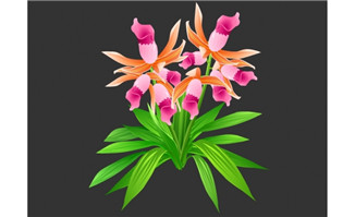 花卉鹤顶兰植物素材flas