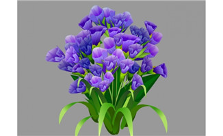 紫色勿忘我植物花卉素材