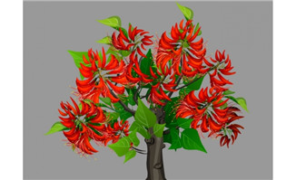 象牙红植物花卉树flash动画