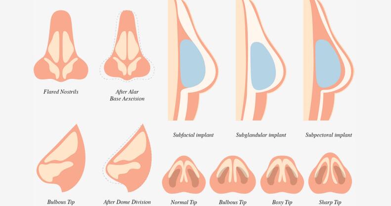 人物五官多角度的鼻子剖面图设计矢量素材
