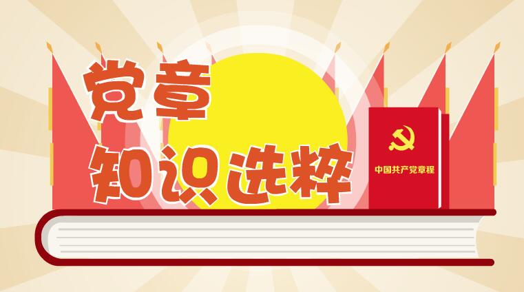 党课 党章 课件建设 MG动画 短片 flash源文件