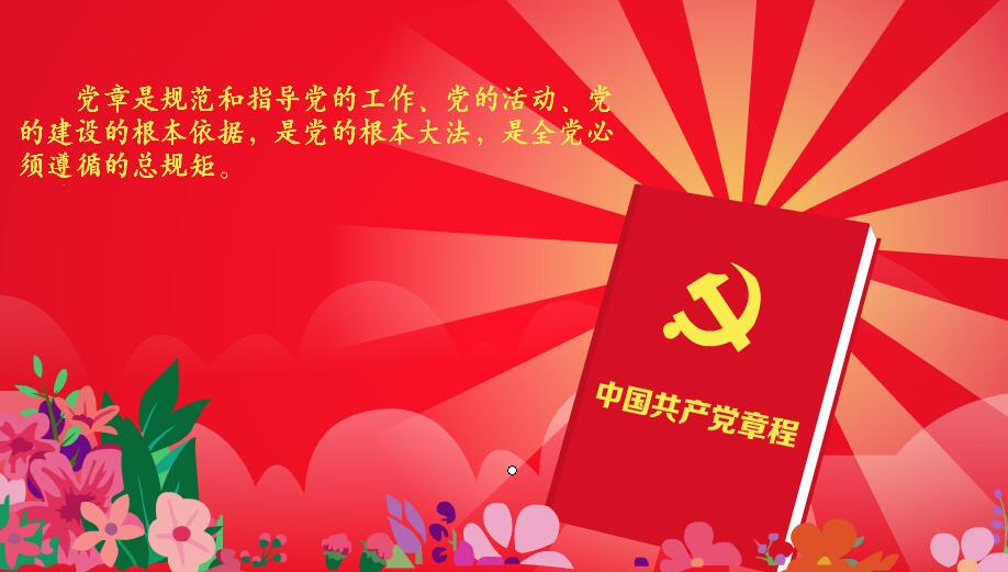 党章 特效 打字效果 MG动画 短片素材 党课视频
