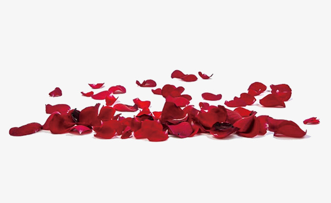 一堆玫瑰花瓣素材，红色花瓣，花朵素材