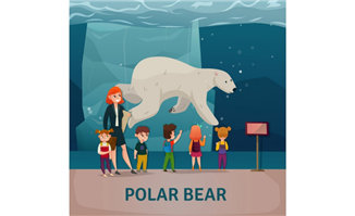 带着孩子们去看北极熊饲