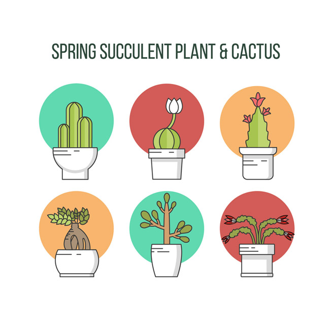 多肉植物小盆栽图标设计矢量素材