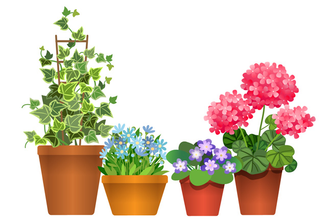 4种不同花卉植物盆栽造型设计素材