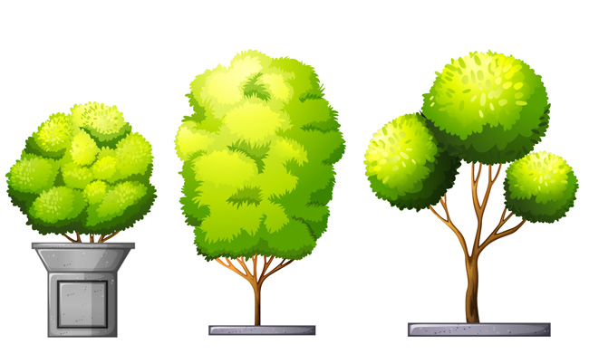城市环境建设树木盆景造型设计矢量素材