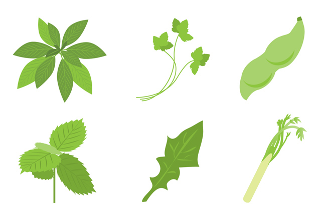 绿色矢量手绘植物叶子造型设计素材