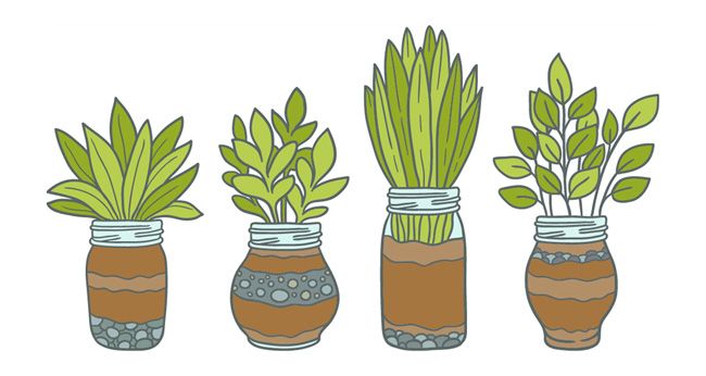 手绘4款绿色小盆景植物造型设计素材