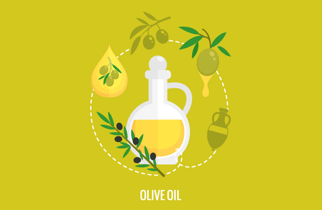 橄榄油植物精华食物海报设计矢量素材