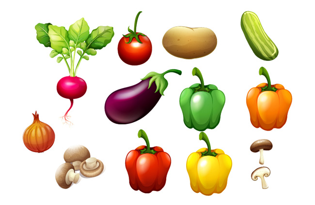 常吃的蔬菜西红柿土豆茄子食物造型设计