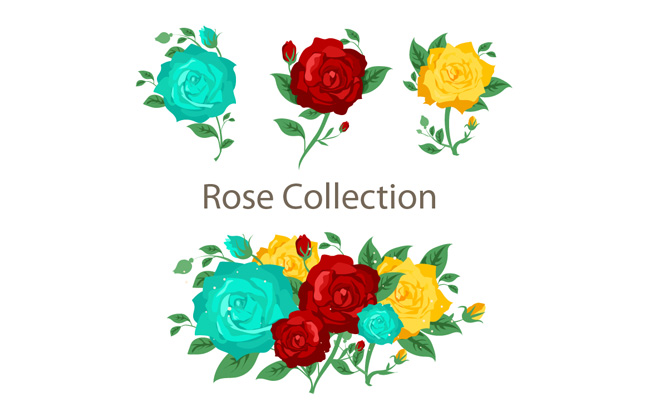 彩色玫瑰花和花束矢量素材