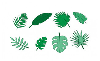 绿色手绘棕榈叶子热带植